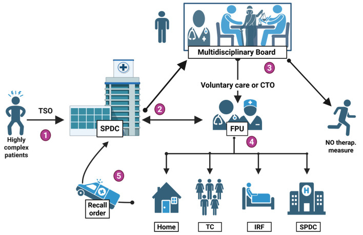 Psychiatric Risk Governance Across Jurisdictions: A Comparative Analysis of Involuntary Treatment, Community Treatment Orders, and Forensic Mental Health Services.