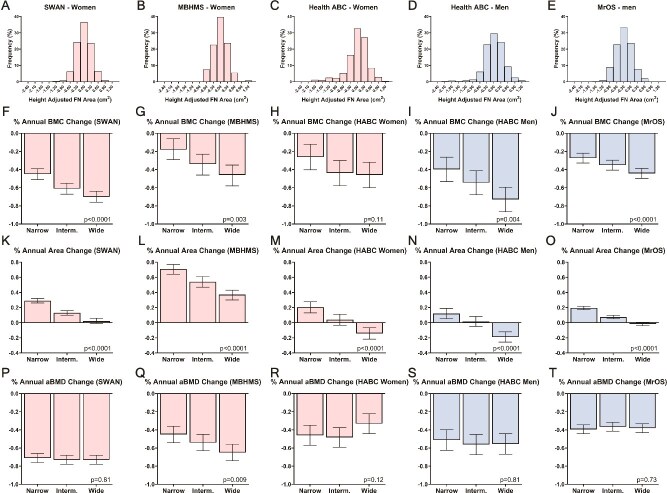 Femoral neck width is associated with unique trajectories of age-related hip structural changes and fracture risk within populations of adult women and men.