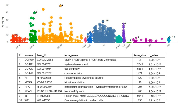 Transcriptomic Profile of Isocitrate Dehydrogenase Mutant Type of Lower-Grade Glioma Reveals Molecular Changes for Prognosis.