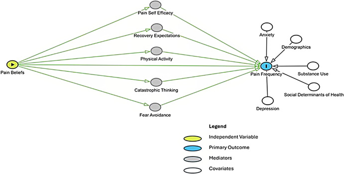 From acute to chronic: the PREVENT protocol for understanding pain progression after emergency department visits.