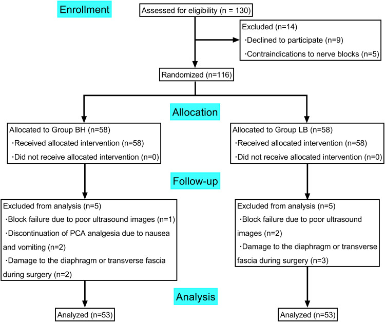 Liposomal Bupivacaine for Quadratus Lumborum Block at the Lateral Supra-Arcuate Ligament in the Analgesic Effect After Laparoscopic Nephrectomy: A Single-Centre, Triple-Blind, Randomized Controlled Trial.