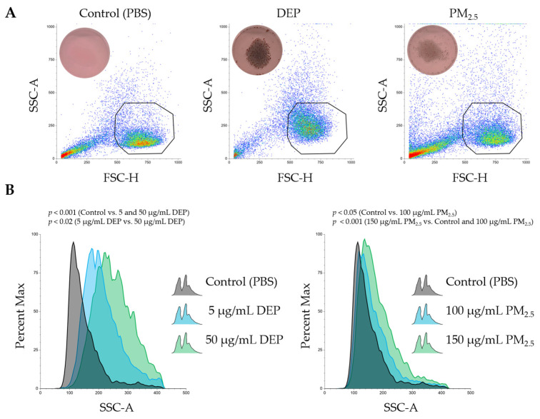 Sub-Toxic Exposure to DEPs and PM<sub>2.5</sub> Impairs Dendritic Cell Function Through Intracellular Particle Accumulation.