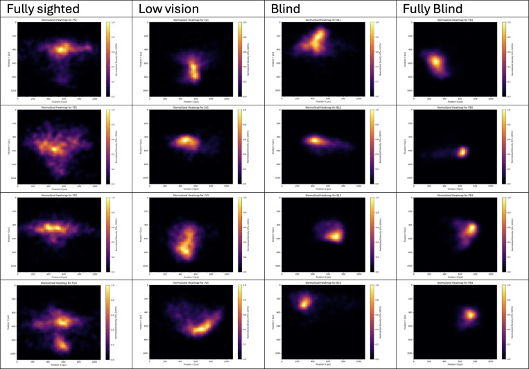 Residual Gaze Behavior During Navigation in Blindness and Low Vision.