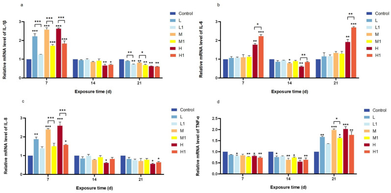 Influence of Untreated and Microbially Degraded Mangrove Sediment Microplastics on <i>Zebrafish</i> (<i>Danio rerio</i>) Intestinal Histology and Immune and Antioxidant Biomarkers.