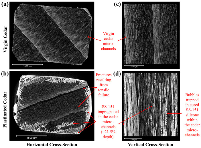 Towards a New Plastination Technique for Moisture Management of Western Red Cedar Without Loss of Strength and with Enhanced Stability.