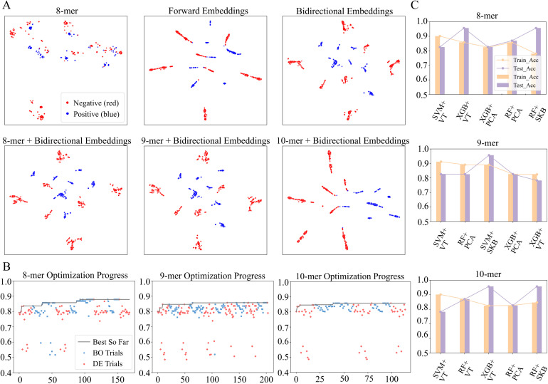 HKDE-LACM: a hybrid model for lactic acid bacteria classification via k-mer and DNABERT-2 embedding fusion with cyclic DE-BO optimization.