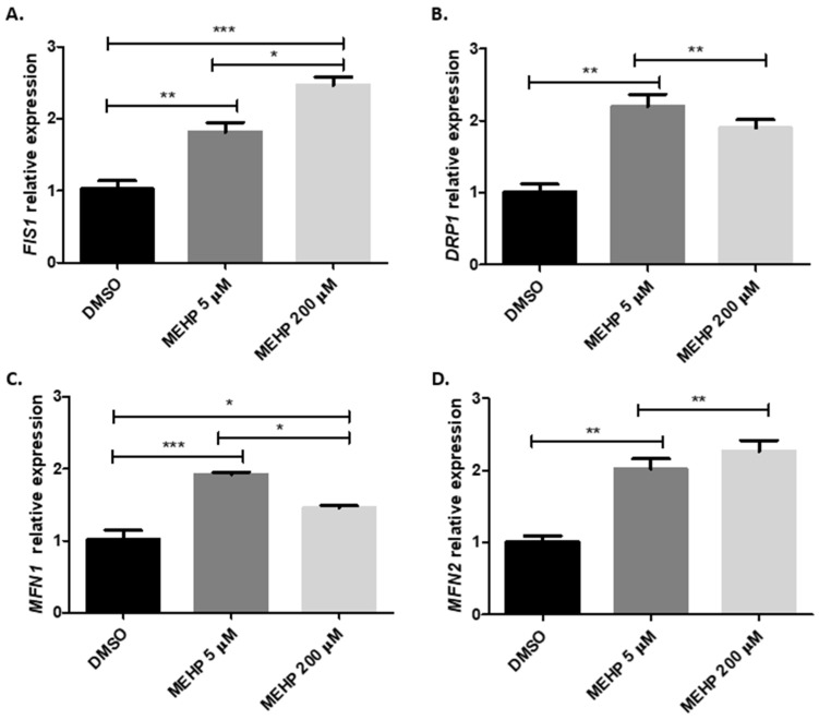 Mono(2-ethylhexyl) Phthalate Disrupts Mitochondrial Function, Dynamics and Biogenesis in Human Trophoblast Cells at Human Exposure Range Concentrations.