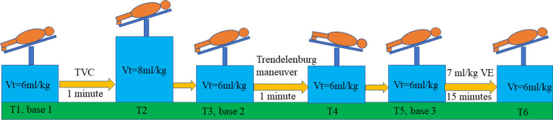 Changes in internal jugular vein respiratory variation during tidal volume challenge predict volume responsiveness in lumbar surgery under protective ventilation: a prospective cohort study.