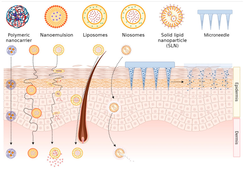 Nanoformulation-Based Transdermal Drug Delivery: A Paradigm Shift in Antiparasitic Therapy for Zoonotic Diseases.
