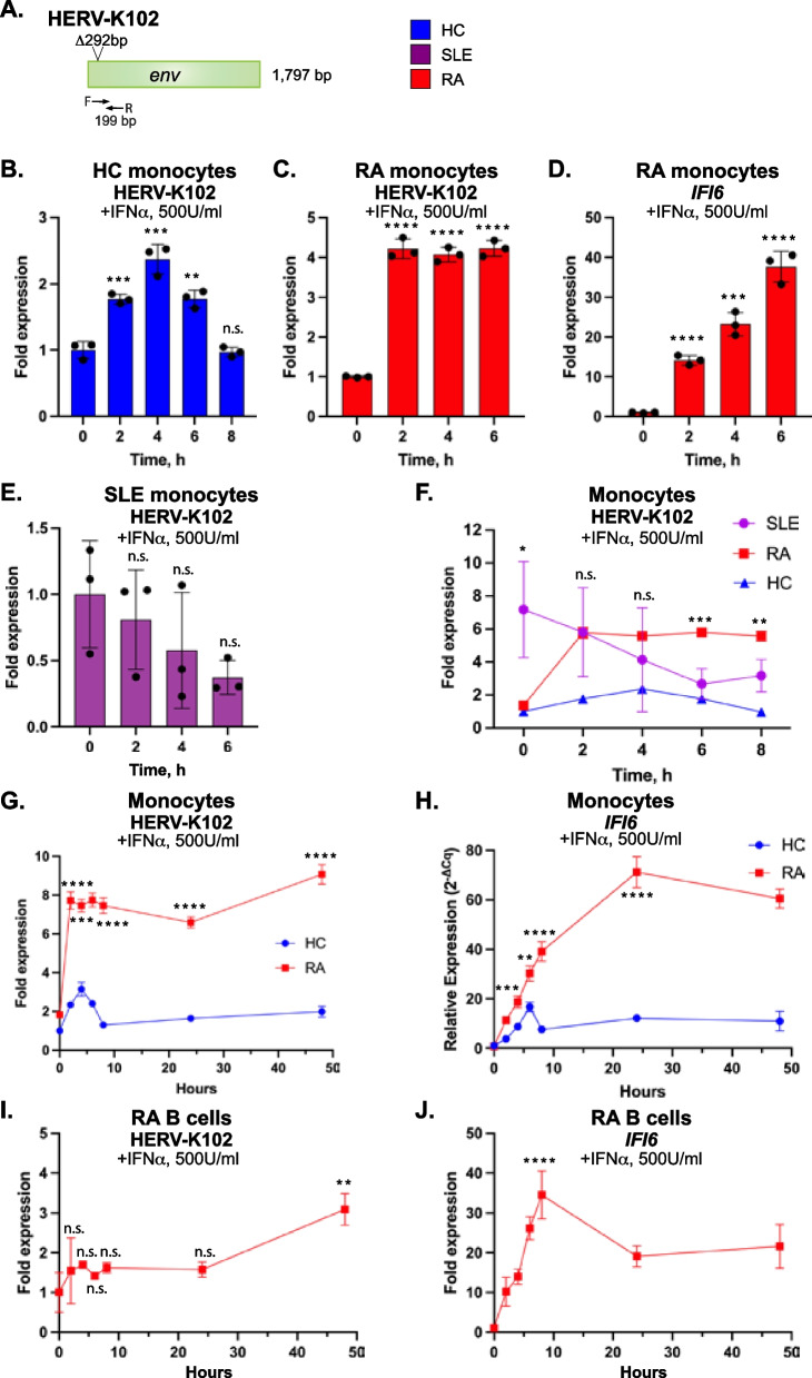 Type I interferons increase expression of endogenous retrovirus K102 and envelope protein in myeloid cells from patients with autoimmune disease.