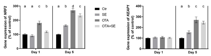 Short-Term Effects of Dietary Selenomethionine Supplementation on Hepatic and Renal Transcriptomic Alterations Induced by Ochratoxin a in Broiler Chickens.