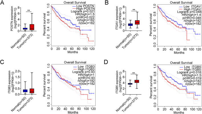 Periostin-integrin signaling in hepatocellular carcinoma: from biological function to clinical application.