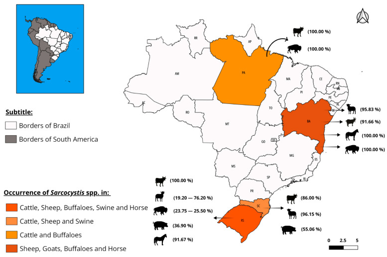 Sarcocystosis in Farm Animals in Brazil: A One-Health Approach.