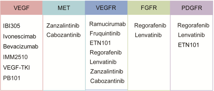 Angiogenesis and Immunosuppressive Niche in Hepatocellular Carcinoma: Reshaping Vascular - Immune Axis to Potentiate antiPD - 1/PD - L1 Therapy.