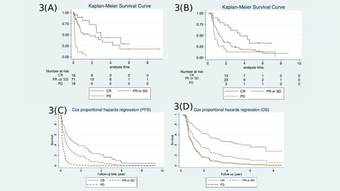Tailoring treatment for esophageal cancer: a retrospective comparison of chemoradiation with and without esophagectomy.