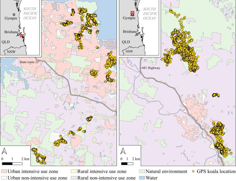 Effects of urbanisation on the movements of an arboreal specialist using hidden Markov models.