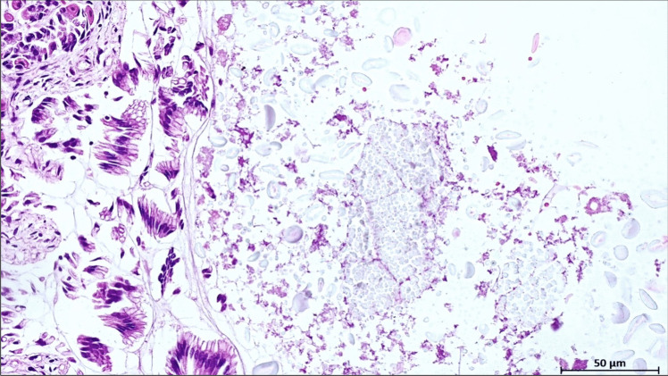 Abstract Image