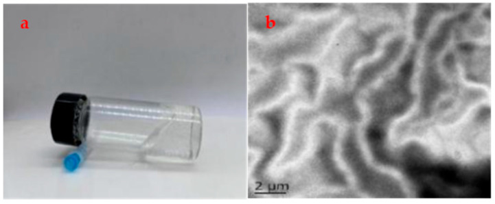 Synthesis of Porous Materials on Hybrid Wormlike Micelles of Zwitterionic and Anionic Surfactants for Efficient Oilfield Wastewater Treatment.