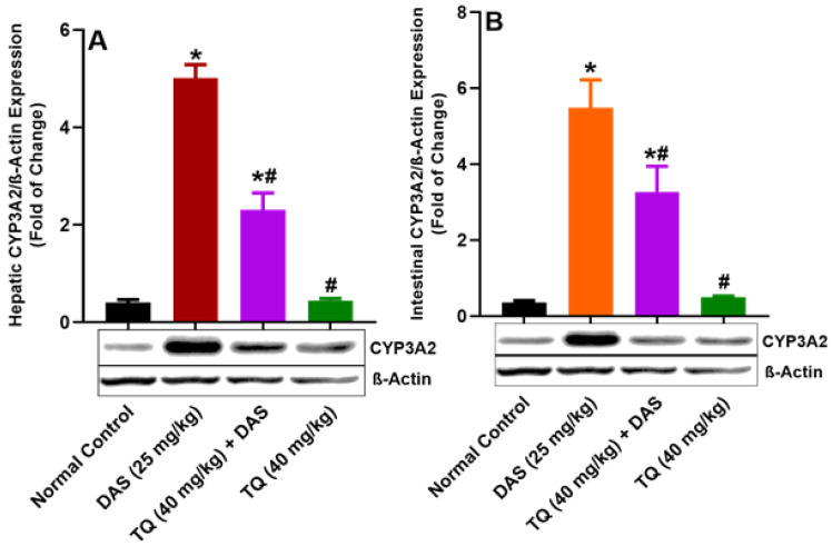 Drug Interaction of Dasatinib with Thymoquinone: A Pharmacokinetic Study in Rats.