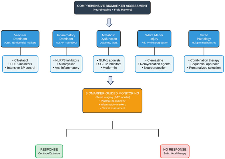 Vascular Dementia: From Pathophysiology to Therapeutic Frontiers.