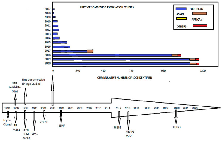 A Review of Syndromic Forms of Obesity: Genetic Etiology, Clinical Features, and Molecular Diagnosis.