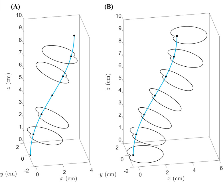 GrowCAD: bioinspired mathematical design for additive manufacturing.