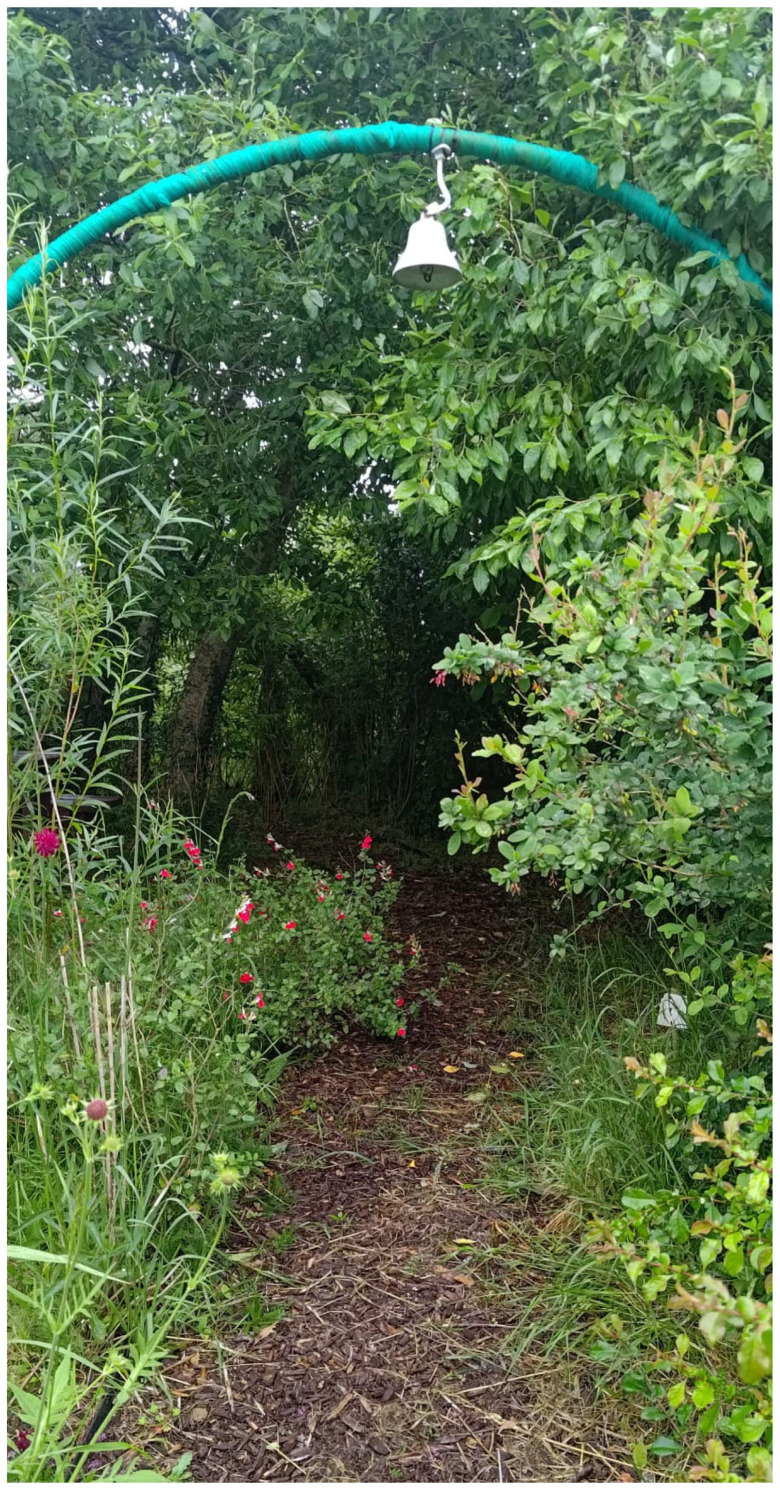 Green Landscapes of Care: The Potential of Gardens to Support the Well-Being of Asylum Seekers in Ireland.