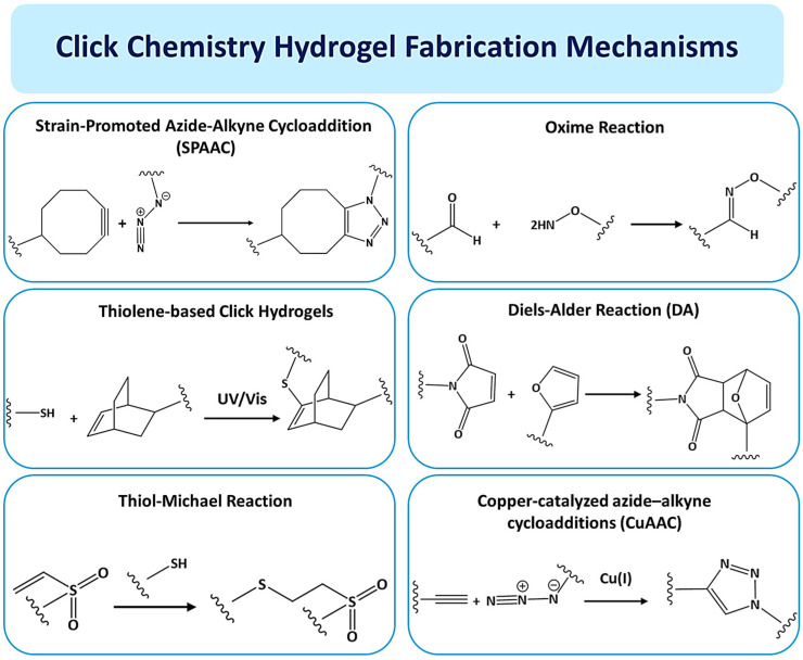 Click Chemistry-Based Hydrogels for Tissue Engineering.