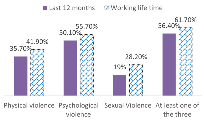 Violence against housemaids and associated factors in Jimma town, Southwest Ethiopia, 2023.