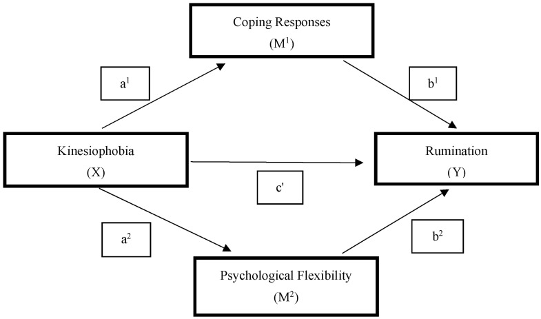 Breaking the Cycle: How Coping and Flexibility Disrupt the Link Between Kinesiophobia and Rumination in Athletes.