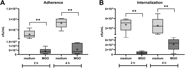 <i>In vitro</i> evaluation of methylglyoxal as an antibacterial additive to bone cement.
