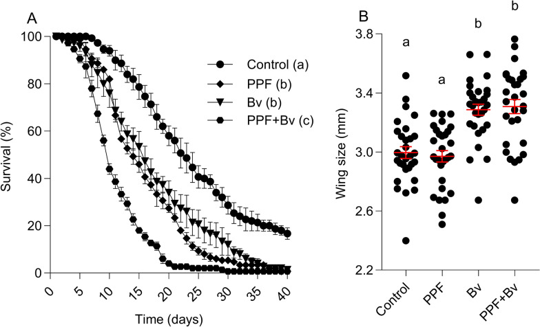 Evaluating the transstadial effects of Bacillus velezensis and pyriproxyfen, alone and in combination, on fitness-related traits of Culex quinquefasciatus.