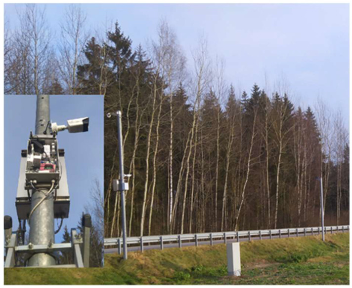 Image Processing Algorithms Analysis for Roadside Wild Animal Detection.