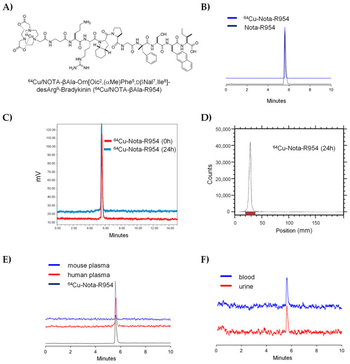 Theranostic Potential of a New <sup>64</sup>Cu-Labeled NOTA-R954 Peptide Conjugate for Kinin B1R Expressing Prostate Cancer.