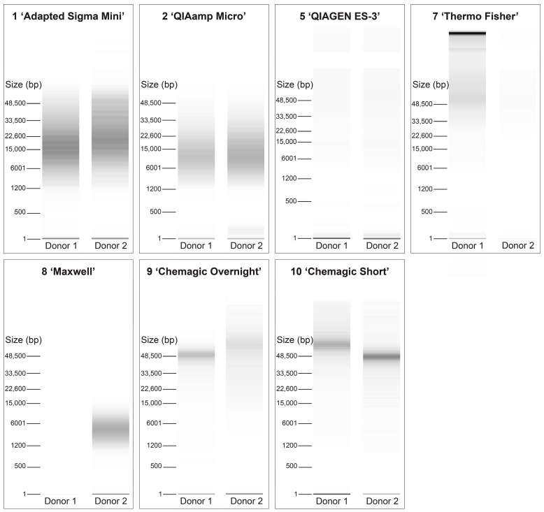 Comparing DNA Isolation and Preparation Protocols for Dried Blood Spots in the Context of Genomic Newborn Screening.