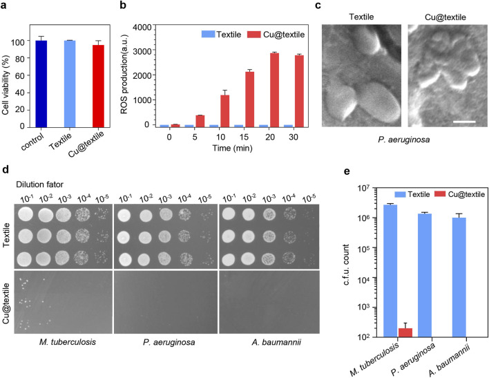 Antibacterial Cu-doped cotton textile against respiratory pathogens for preventing hospital-acquired infections.