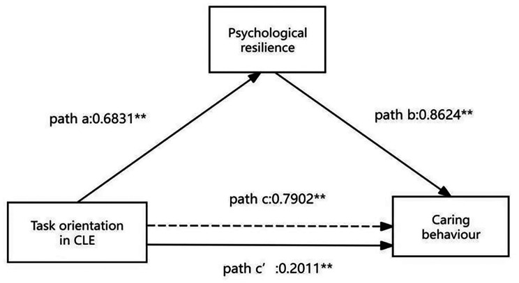 The impact of clinical learning environment factors on caring behaviors: the mediating role of psychological resilience among nursing intern students.