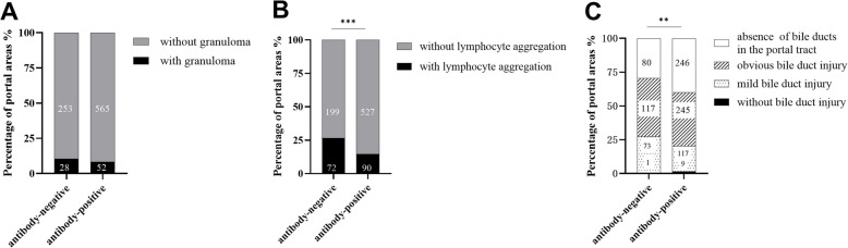Comparison of pathological features of patients with antibody-negative and positive primary biliary cholangitis.