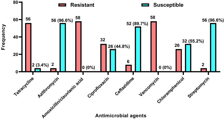 <i>Campylobacter</i> Colonisation of Poultry Slaughtered at Nigerian Slaughterhouses: Prevalence, Antimicrobial Resistance, and Risk of Zoonotic Transmission.