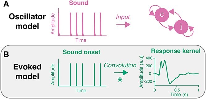 Tempo-dependent selective enhancement of neural responses at the beat frequency can be mimicked by both an oscillator and an evoked model.