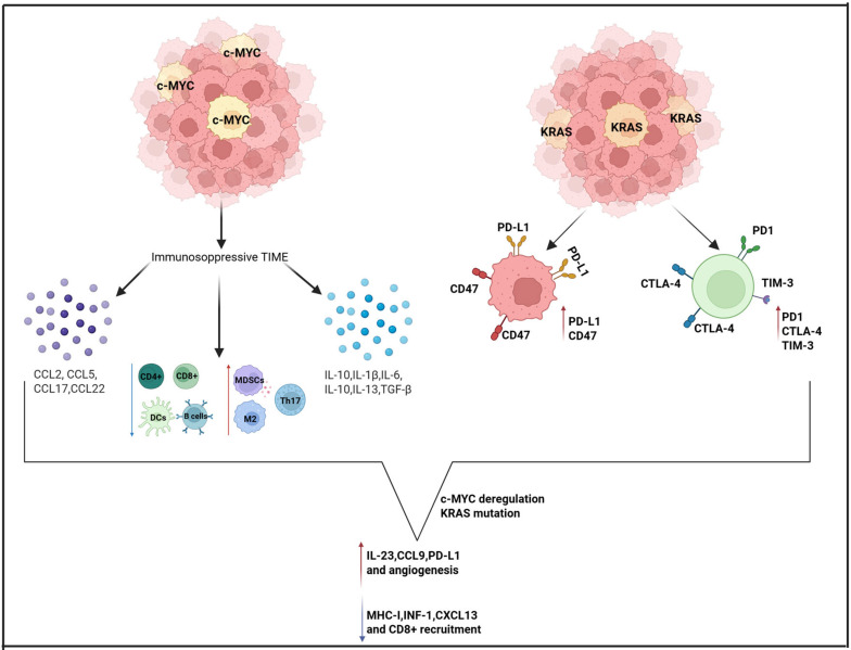 Tumor Immune Microenvironment and Checkpoint Inhibition in Clear Cell Ovarian Carcinoma: Bridging Tumor Biology and Clinical Application in Immunotherapy.