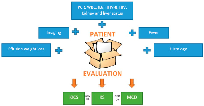 Castleman Disease and Kaposi Sarcoma: A Review of the Literature and a Case Series.