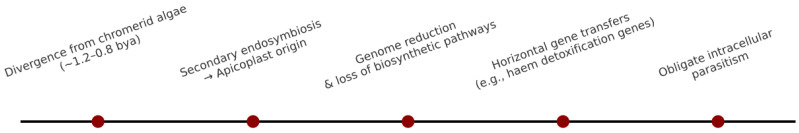 Evolutionary Trajectory of <i>Plasmodium falciparum</i>: From Autonomous Phototroph to Dedicated Parasite.