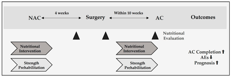 Nutritional Status and Chemotherapy Completion in Resectable Pancreatic Cancer: A Narrative Review.