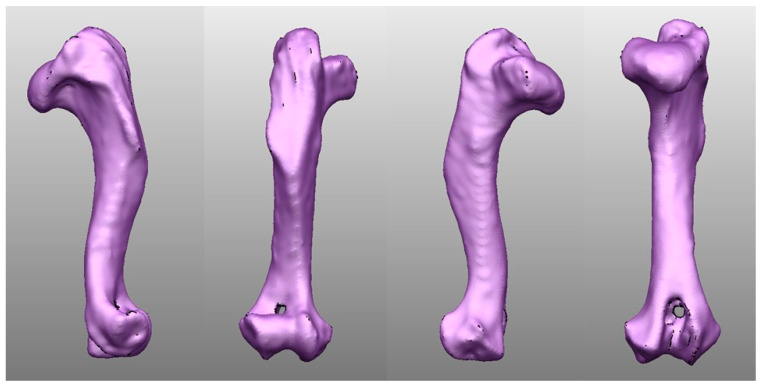 Effectiveness of Custom-Designed 3D-Printed Drill Guides in the Treatment of Lateral Humeral Condylar Fractures in a French Bulldog Bone Model.