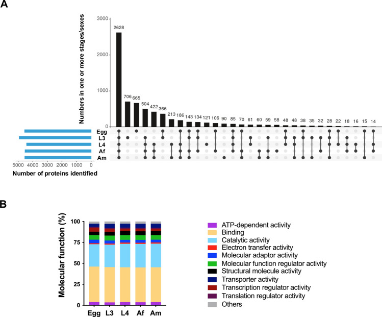 Comprehensive developmental somatic proteome atlas of Haemonchus contortus underpinned by a chromosome-scale genome and deep tandem mass spectrometry.