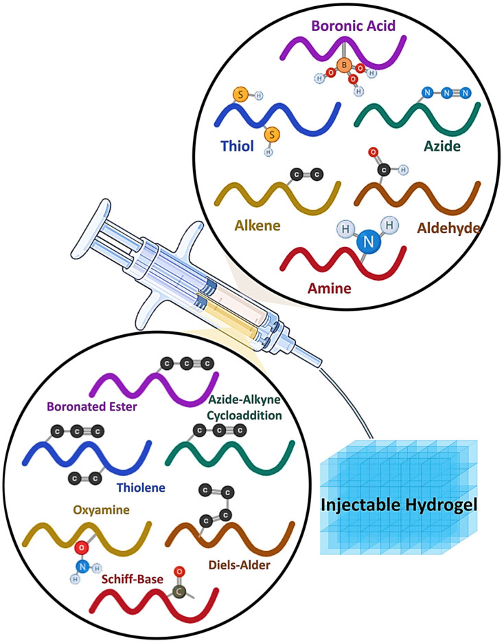 Click Chemistry-Based Hydrogels for Tissue Engineering.