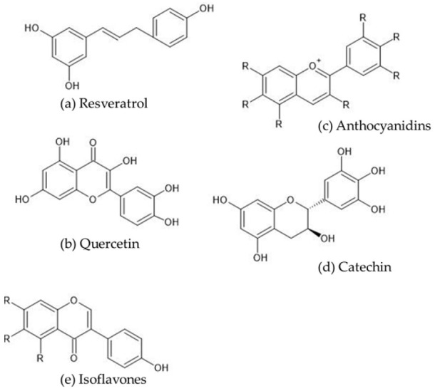 Mechanisms of the Effects of Polyphenols on Diabetic Nephropathy.