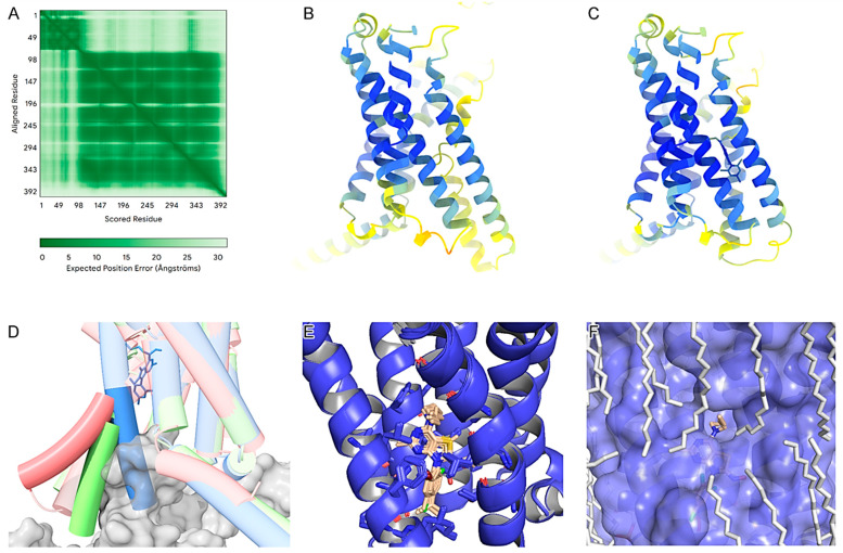 Pharmacological Characterization of the Novel CRF1 Receptor Antagonist, Thiazolo[4,5-d] Pyrimidine Analog, M43.