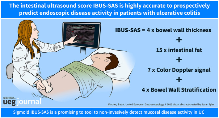 IBUS-SAS Is a Highly Accurate Intestinal Ultrasound Score for Predicting Endoscopic Disease Activity in Ulcerative Colitis.